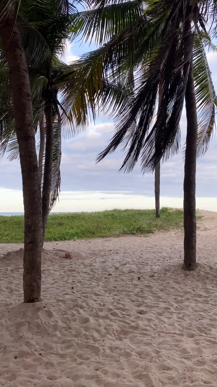 从Boa Viagem海滩俯瞰视频素材