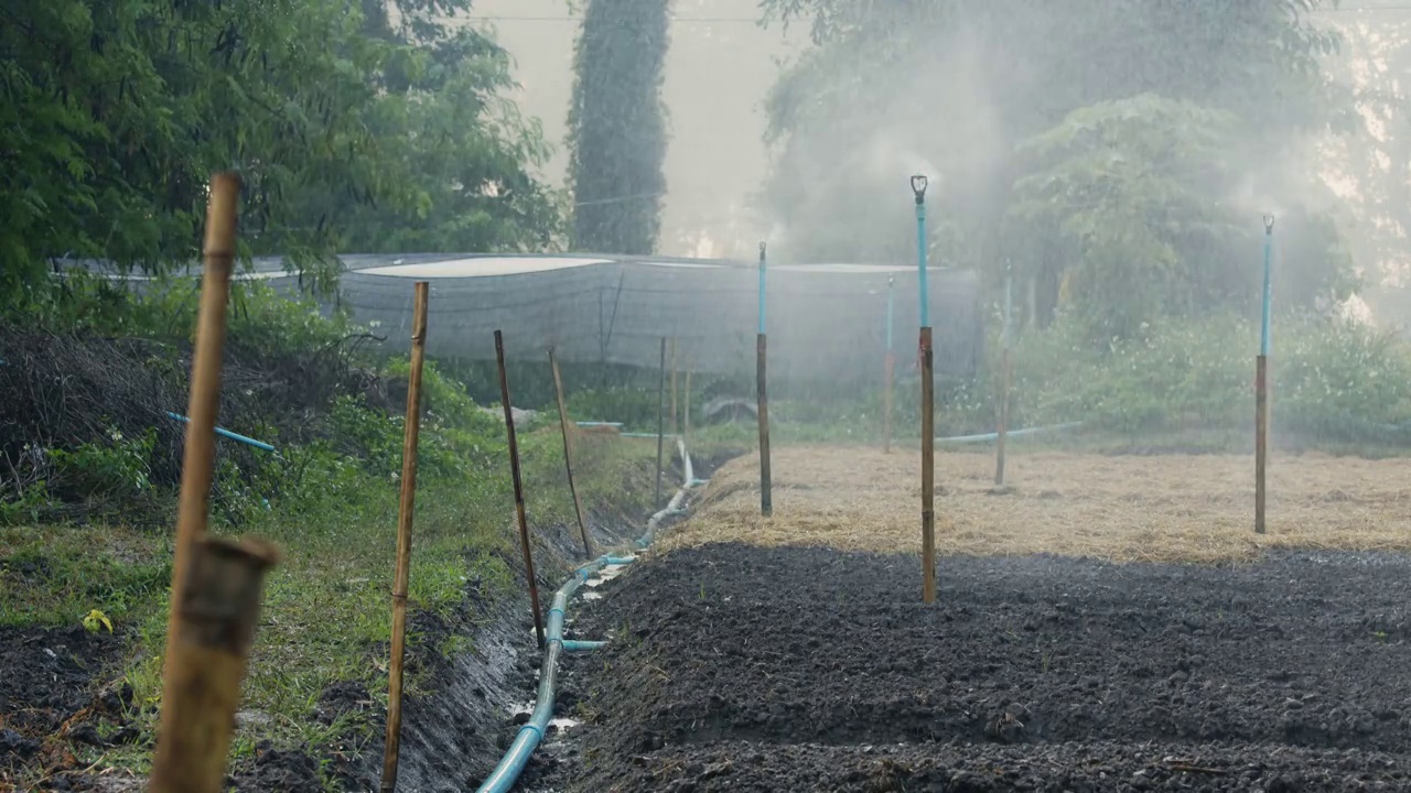 洒水器在花园里洒水。水对人类和农业都是有用的。田间喷灌系统工作。喷头旋转伴水溅。视频下载