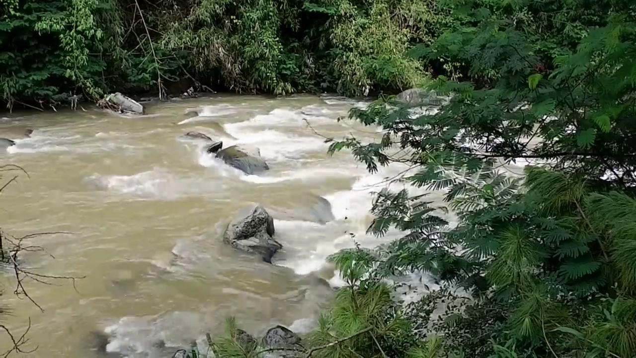 平静和放松河流流动的水与森林背景视频视频素材