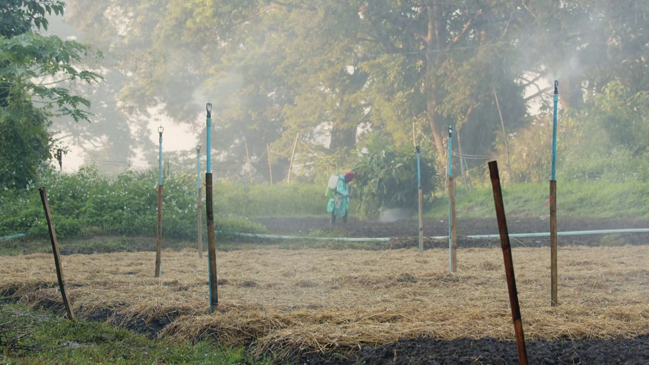 洒水器在花园里洒水。农学家在种植园喷洒农药。田间喷灌系统工作。水对人类和农业都是有用的。视频下载