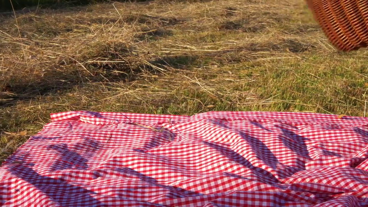 草地上放着野餐篮和格子布毯子视频下载