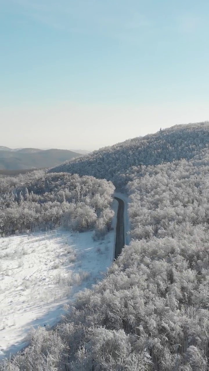 冬天的森林在雪地里被阳光的光芒照亮视频下载