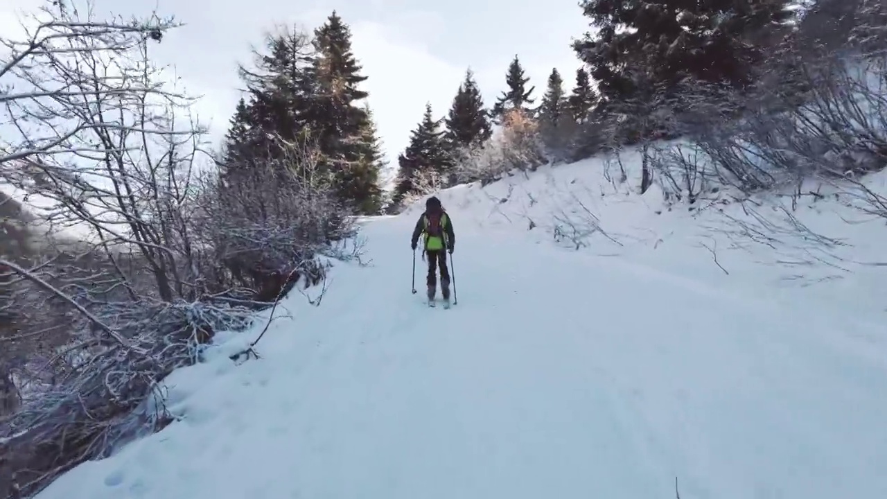 孩子穿着海豹皮，骑着旅游滑雪板爬上雪道视频素材