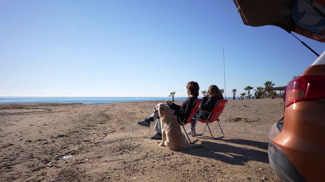 两个女性朋友带着她们的狗在海滩上露营。视频下载