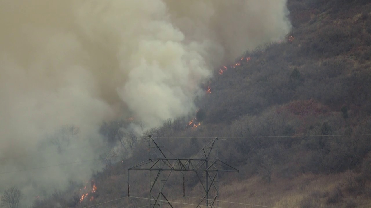 橡树大火在科罗拉多的利特尔顿山麓燃烧着干草和树木视频下载