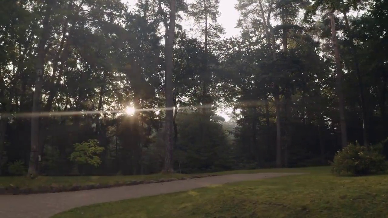美丽的金色阳光穿过树林，阳光明媚的早晨刚刚日出，鸟瞰图视频素材