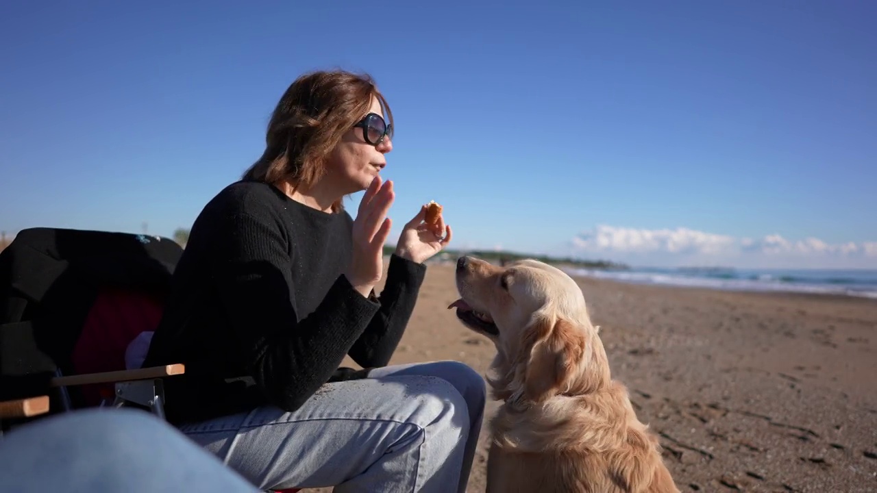 一名女子在沙滩上服从训练她的狗。视频下载
