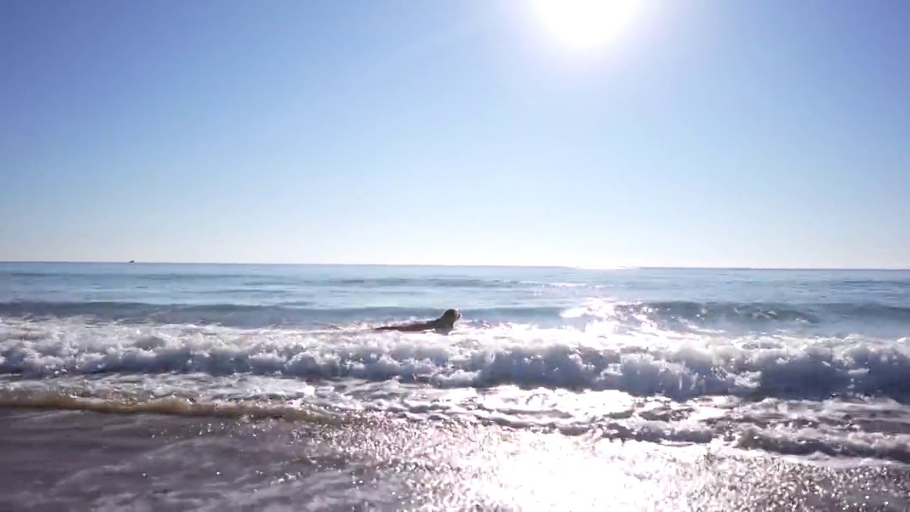 慢动作金毛寻回犬在海里游泳视频下载