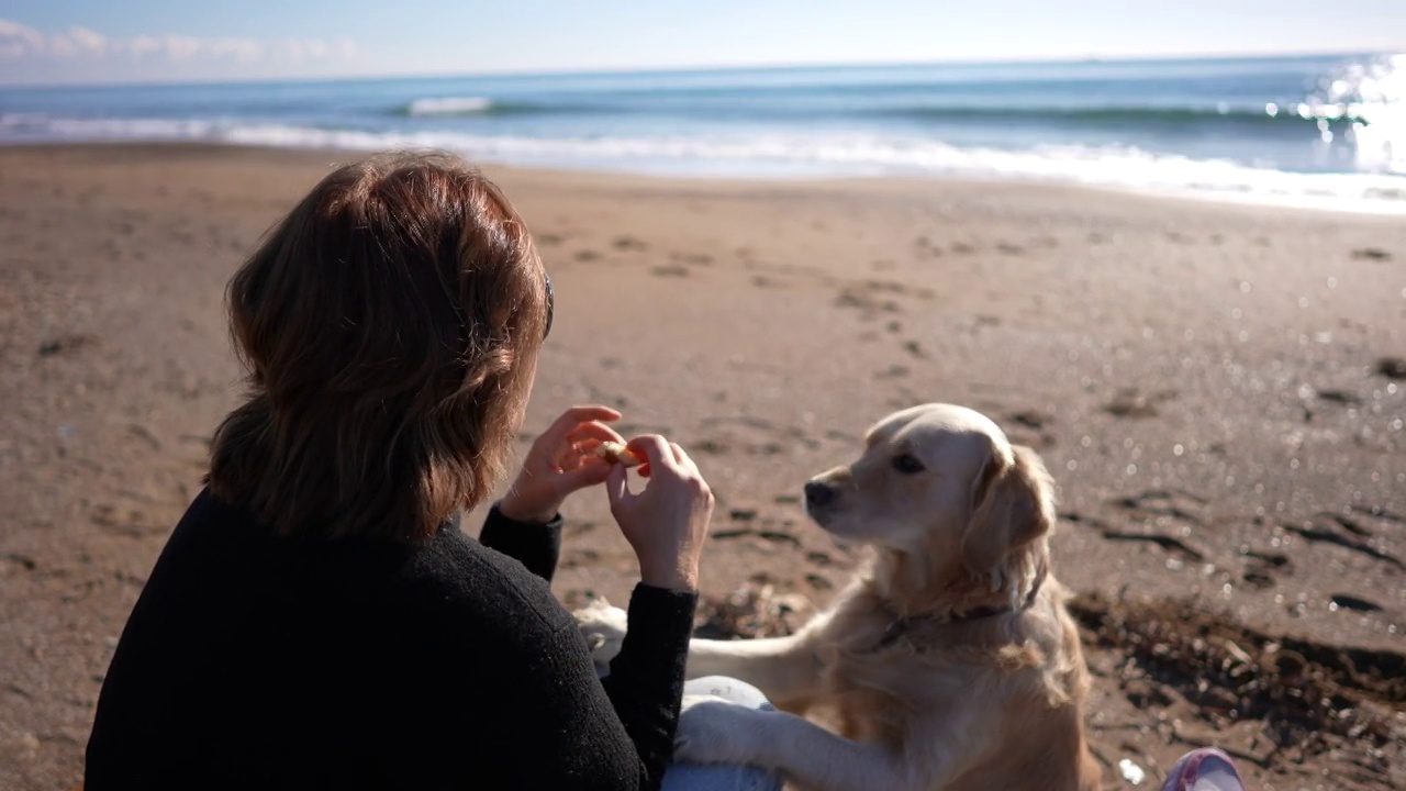 一名女子在沙滩上服从训练她的狗。视频下载