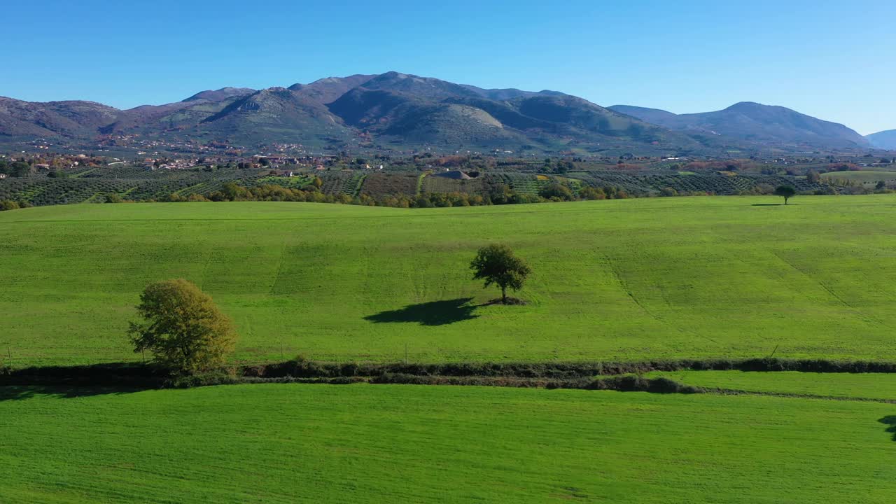 意大利拉齐奥乡村的一棵树视频下载