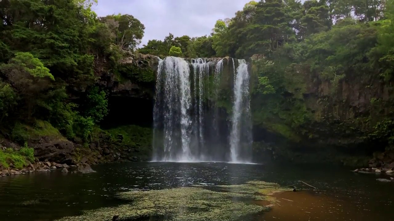 新西兰的克里克里瀑布视频下载