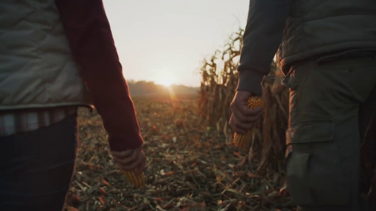 一对农民夫妇拿着玉米棒在田里散步视频下载