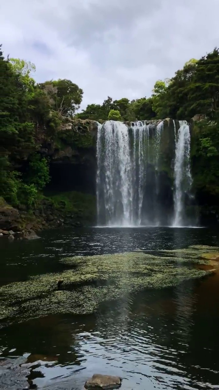 新西兰的克里克里瀑布视频素材