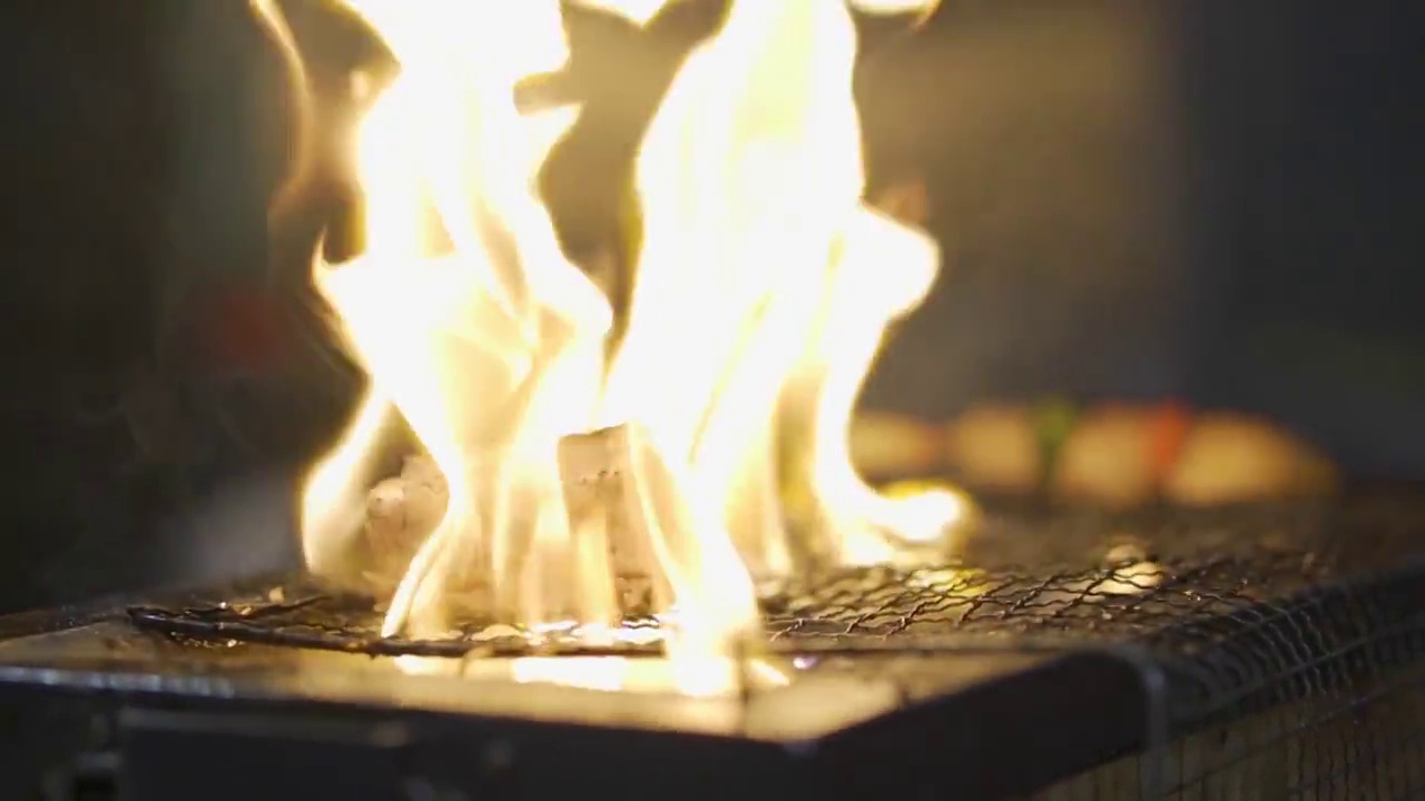 日本食物烤肉串在燃烧的烤架上烤串视频下载