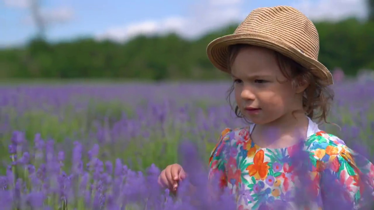 伦敦紫色薰衣草地里的女婴视频下载