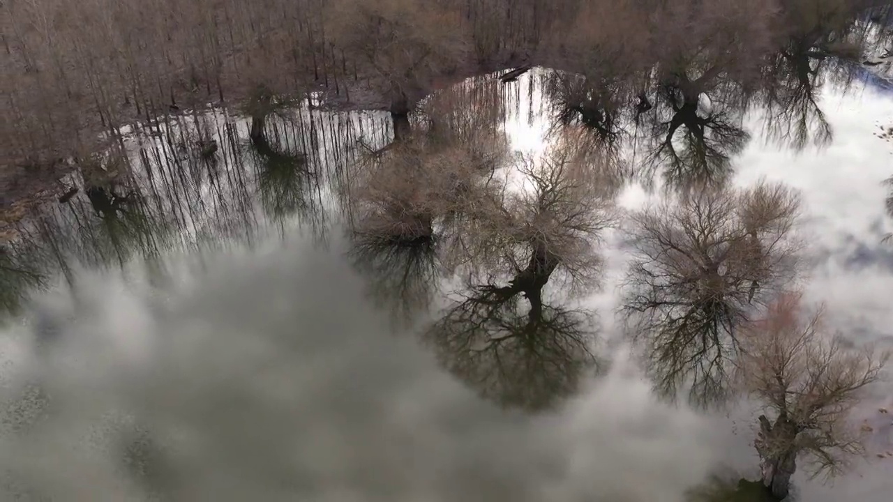 从无人机拍摄的林地漫滩景观鸟瞰图视频素材