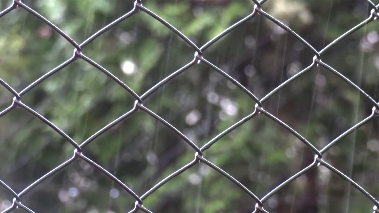 雨落在金属栅栏外焊接的钢丝04视频下载