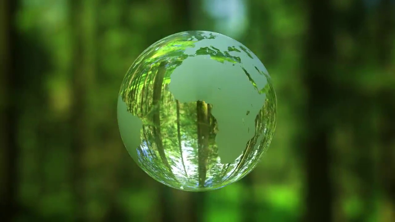 水晶地球行星在绿色的森林视频下载