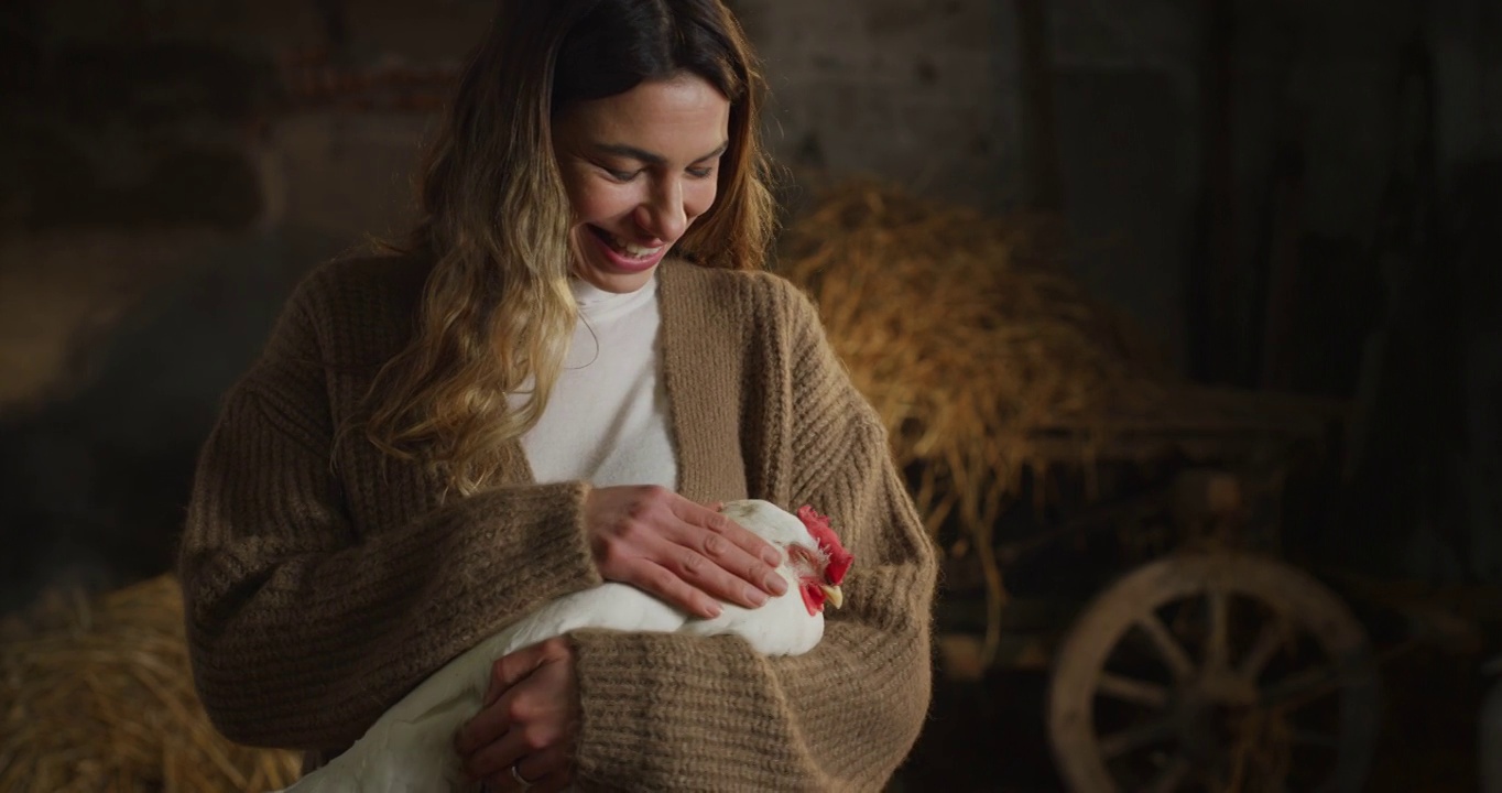 电影镜头的年轻快乐的女农民用爱和关怀爱抚生态生长的白母鸡为生物真正的食品工业在农村农业农场的干草谷仓。视频素材
