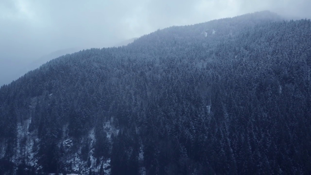 法国孚日的冬季山地鸟瞰图，云雾森林覆盖的雪视频素材