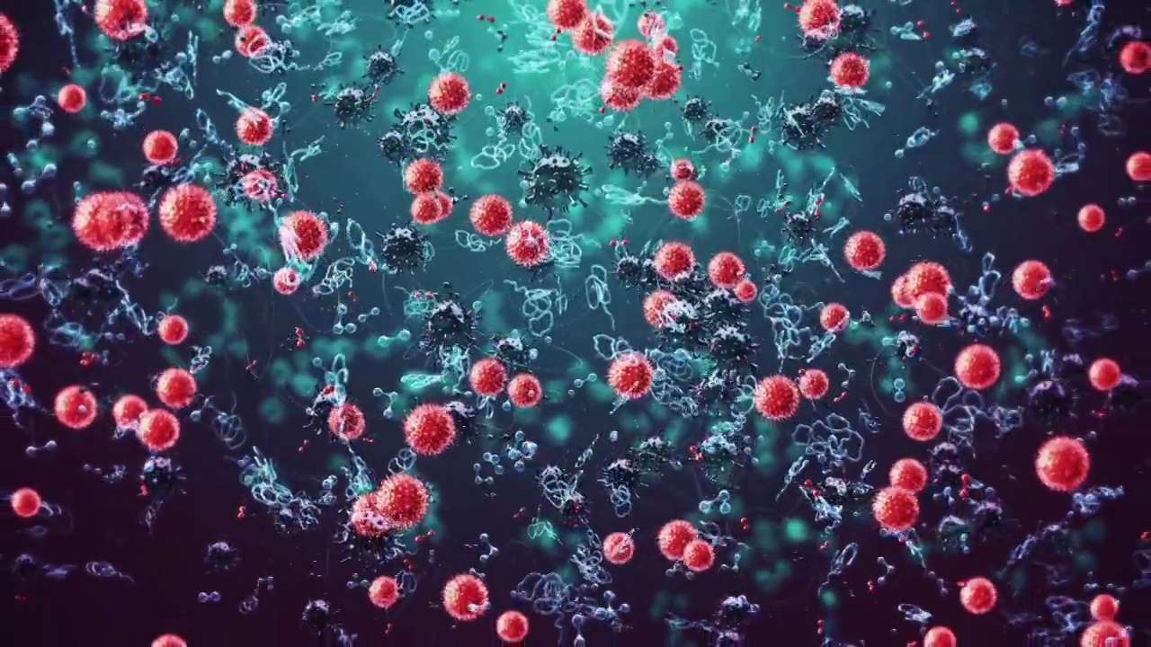 T细胞对抗病毒视频下载