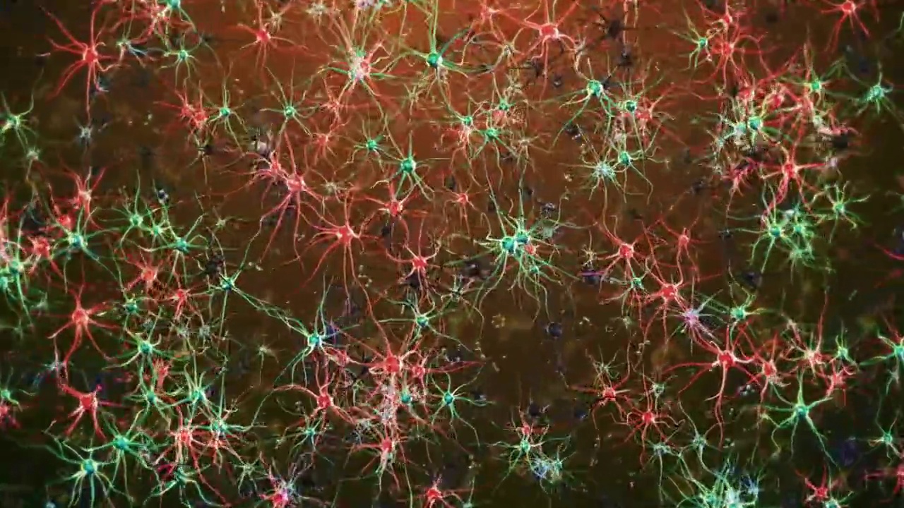 神经元细胞视频下载