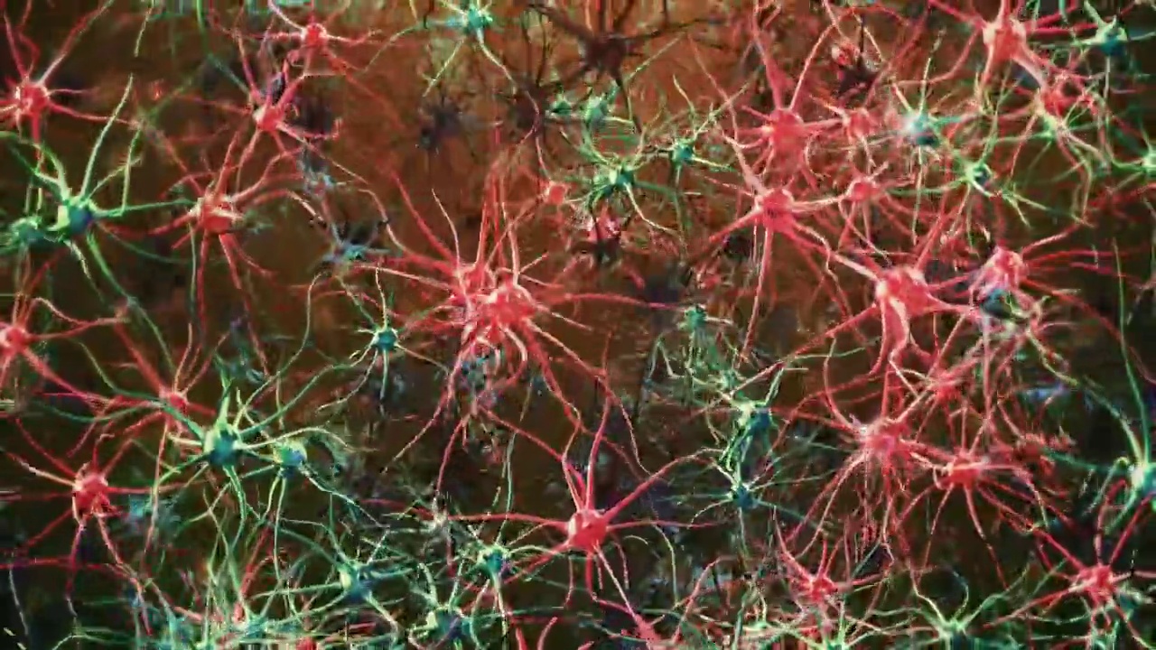 神经元细胞视频下载