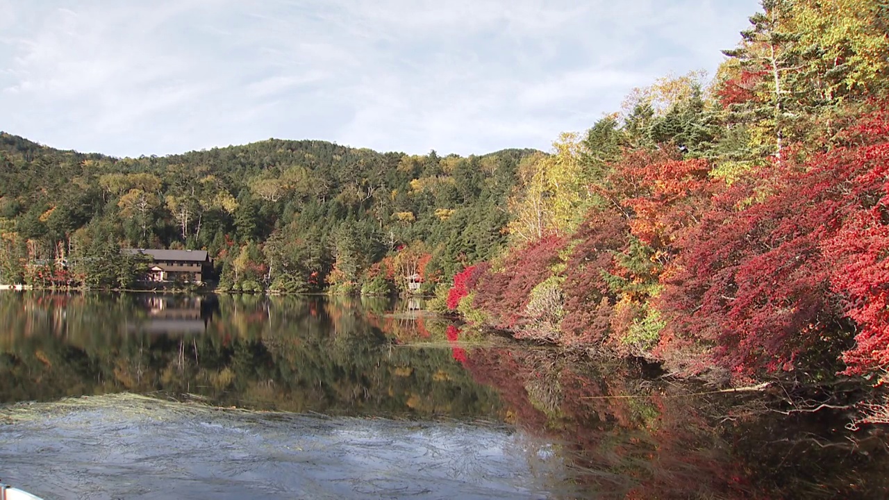 秋叶环绕白驹池塘视频素材