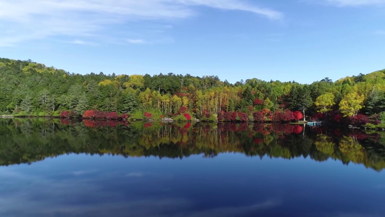 秋叶环绕白驹池塘视频素材