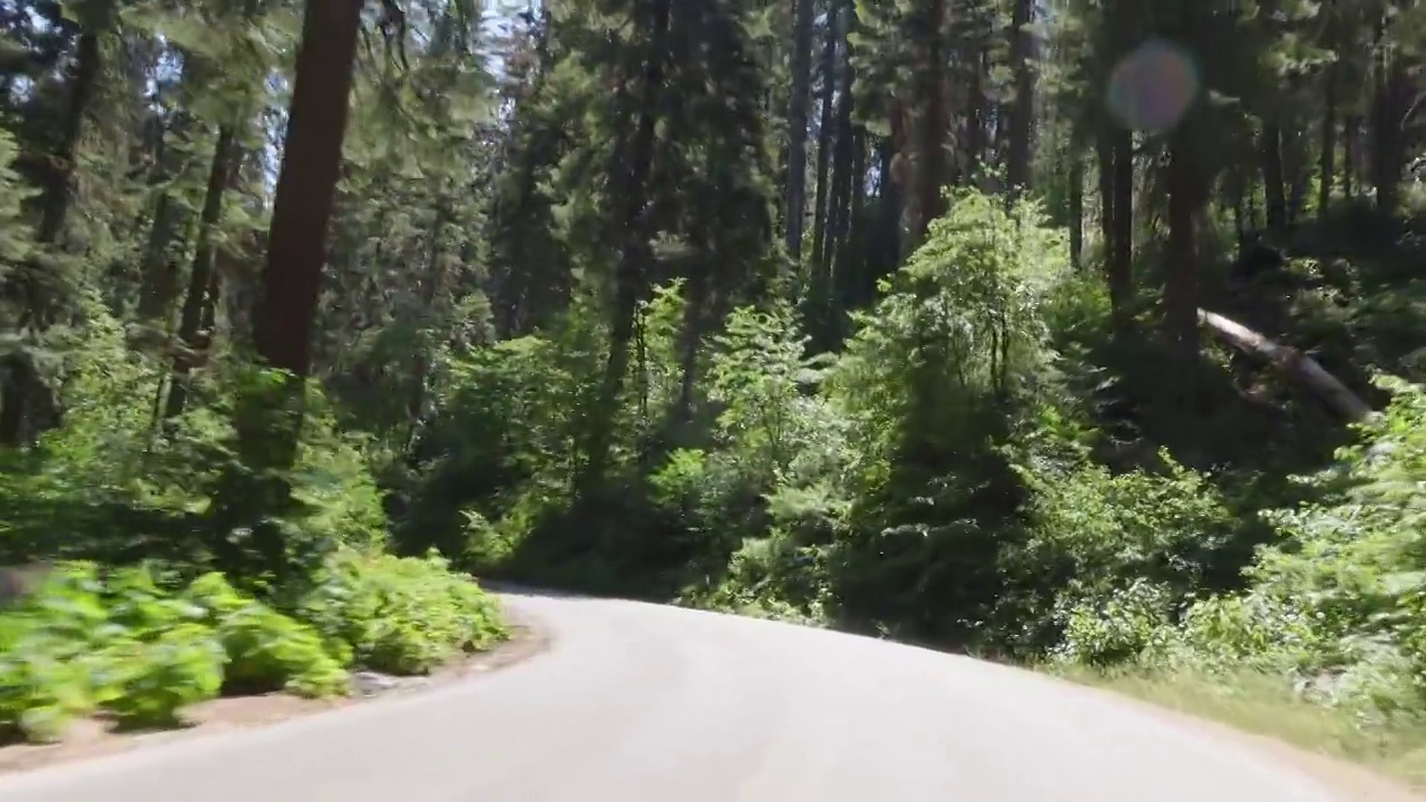 红杉国家公园的汽车视角视频下载
