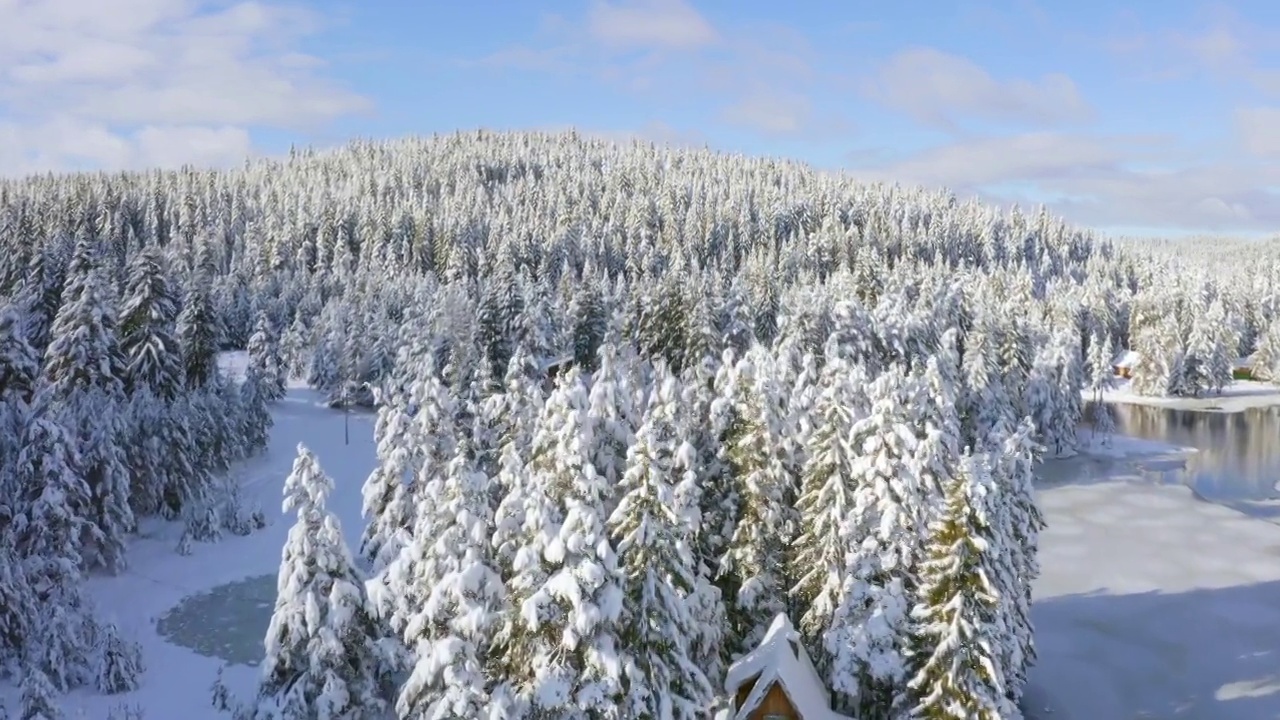 鸟瞰图，小木屋依偎在雪白的松树上。视频下载