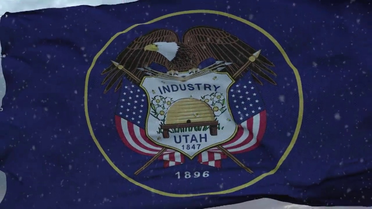 以雪花为背景的犹他州冬季旗帜。美利坚合众国视频素材