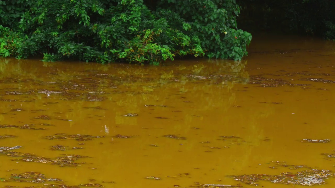 肮脏的水。海河湖泊垃圾污染。污水浮动。全球变暖4 k视频素材