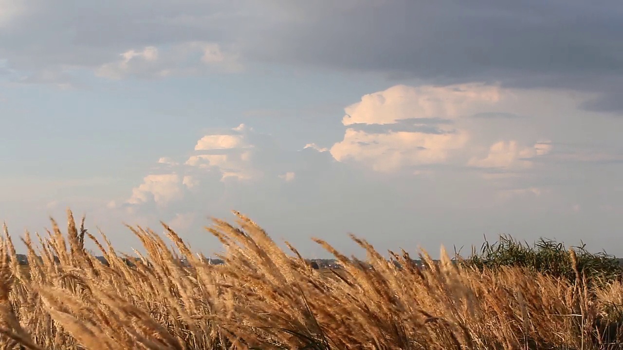 夏季的风景——草地上的云朵视频素材