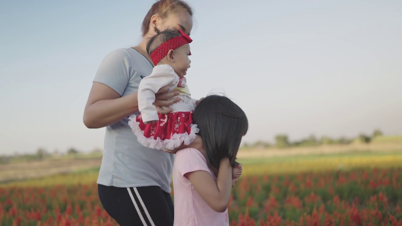 一个亚洲女人带着两个女儿在日落时分的向日葵农场。视频下载