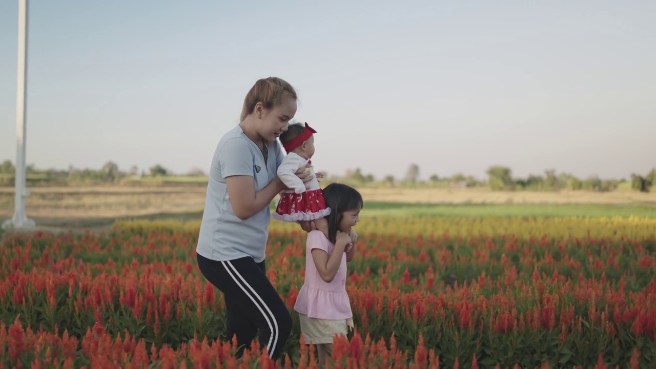 一个亚洲女人带着两个女儿在日落时分的向日葵农场。视频下载