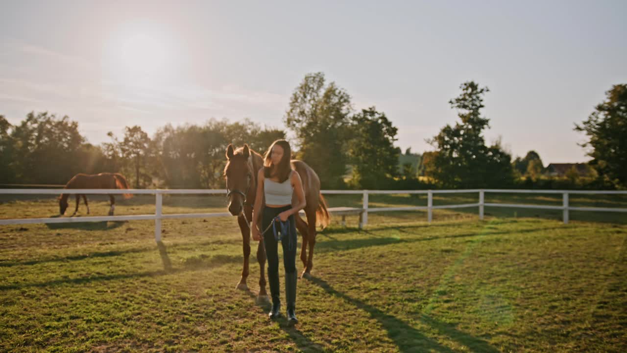 一个女人牵着马在农场散步视频下载