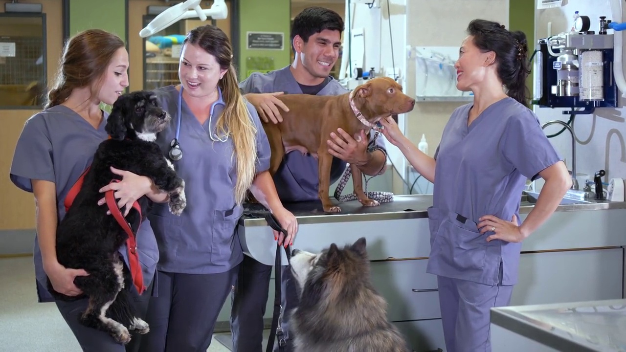 动物医院的工作人员带着狗，对着镜头微笑视频下载