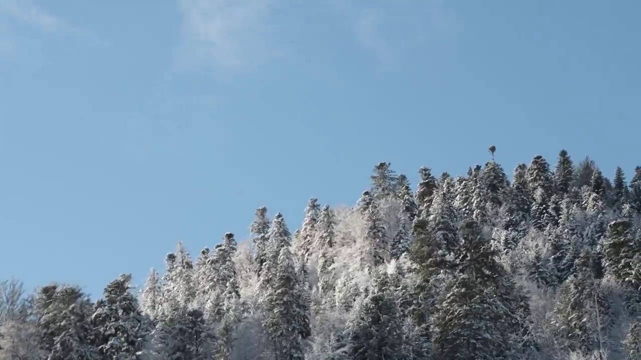 在法国孚日，冬天的山脉森林覆盖着蓝色的天空和蓬松的云视频素材