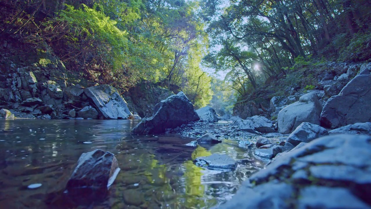 绿树环绕的山间溪流。阳光穿过树林的河流。视频下载