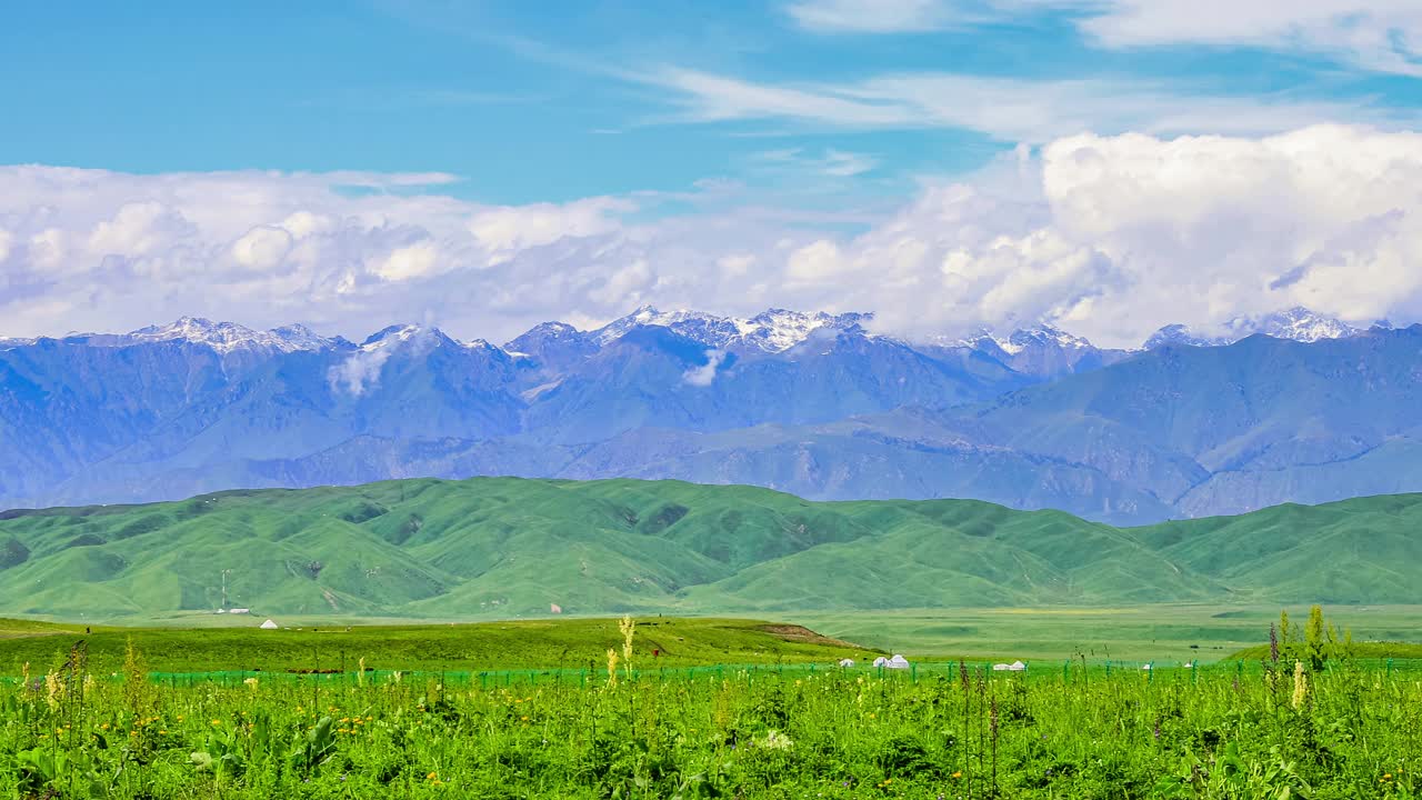 新疆的绿色草原和山景视频素材