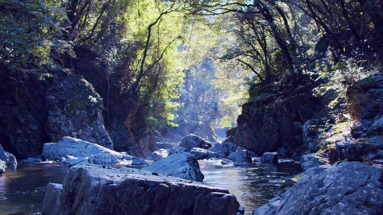 绿树环绕的山间溪流。阳光穿过树林的河流。视频下载