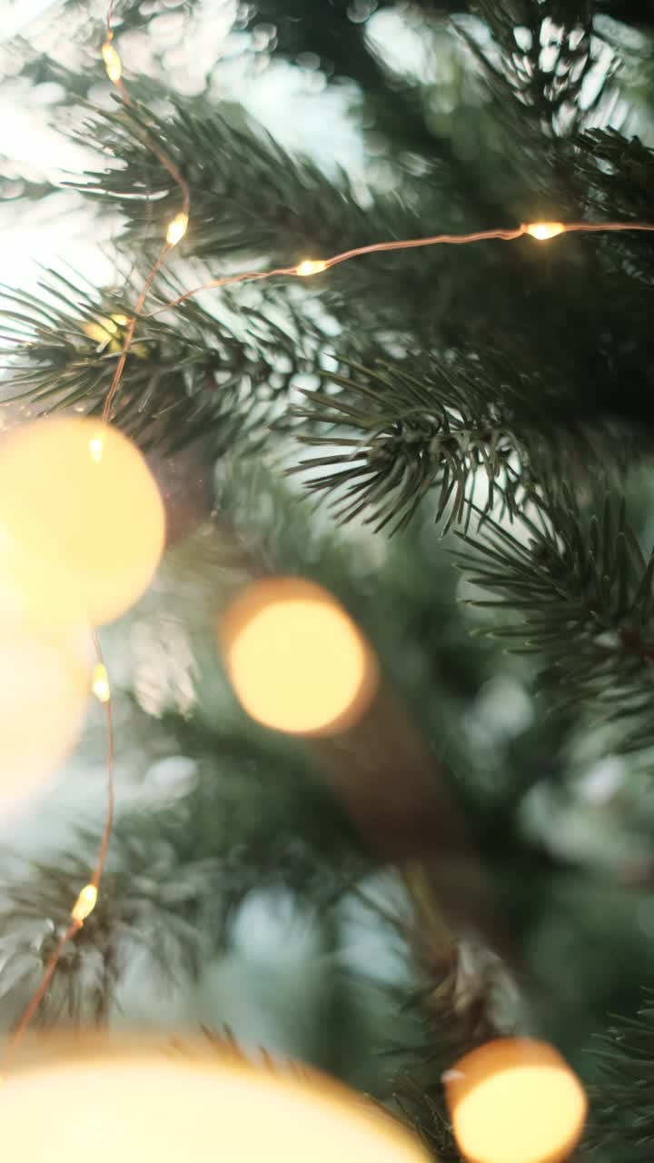 装饰圣诞树视频下载
