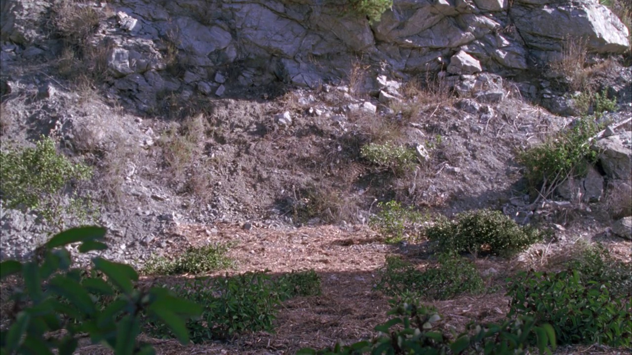 广角汽车，1980年林肯大陆标志vi，降落在山脚下，悬崖或峡谷。岩石。车祸或事故。汽车特技表演。视频素材