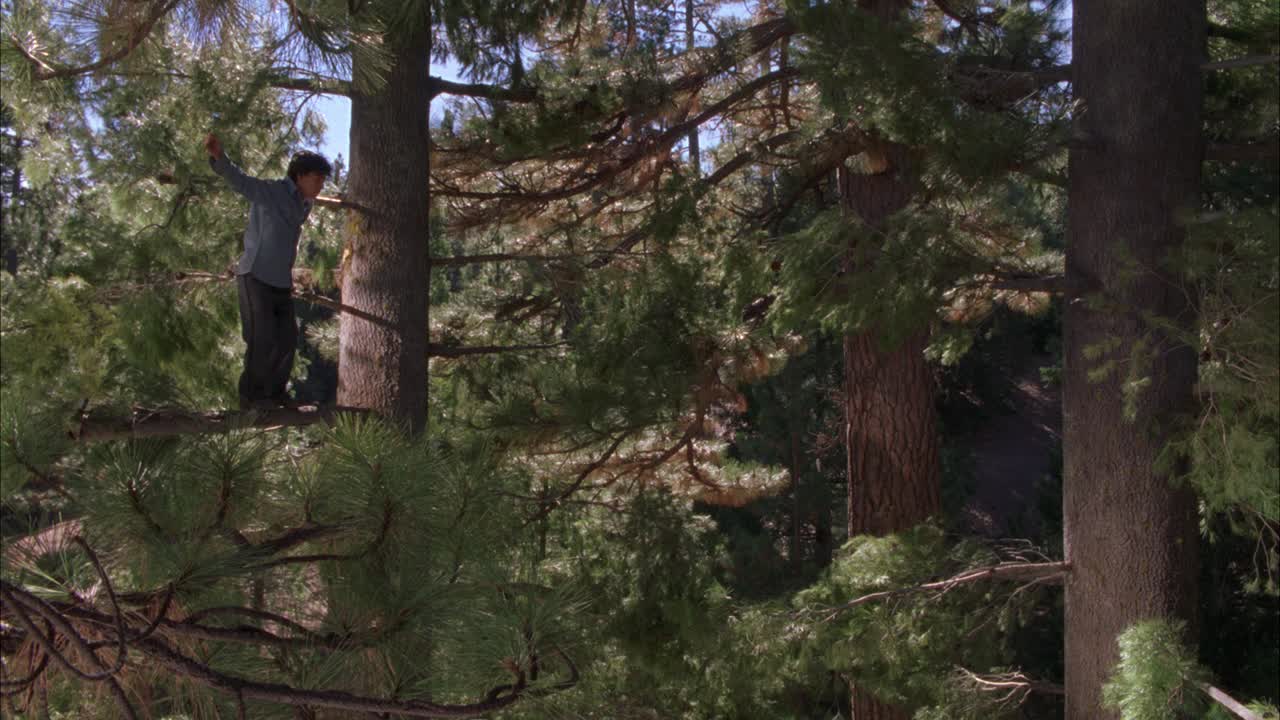 在森林中，一名身穿警服或保安制服的男子在松树的树枝间跳跃。噱头。视频素材