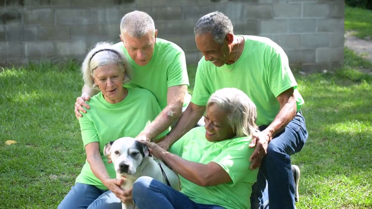 四个老人在宠物收容所做志愿者，和狗玩视频下载