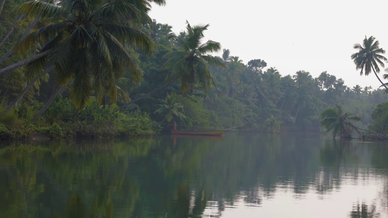 郁郁葱葱的绿叶棕榈树或椰子树和回水从喀拉拉邦印度的镜头。4K视频。视频素材