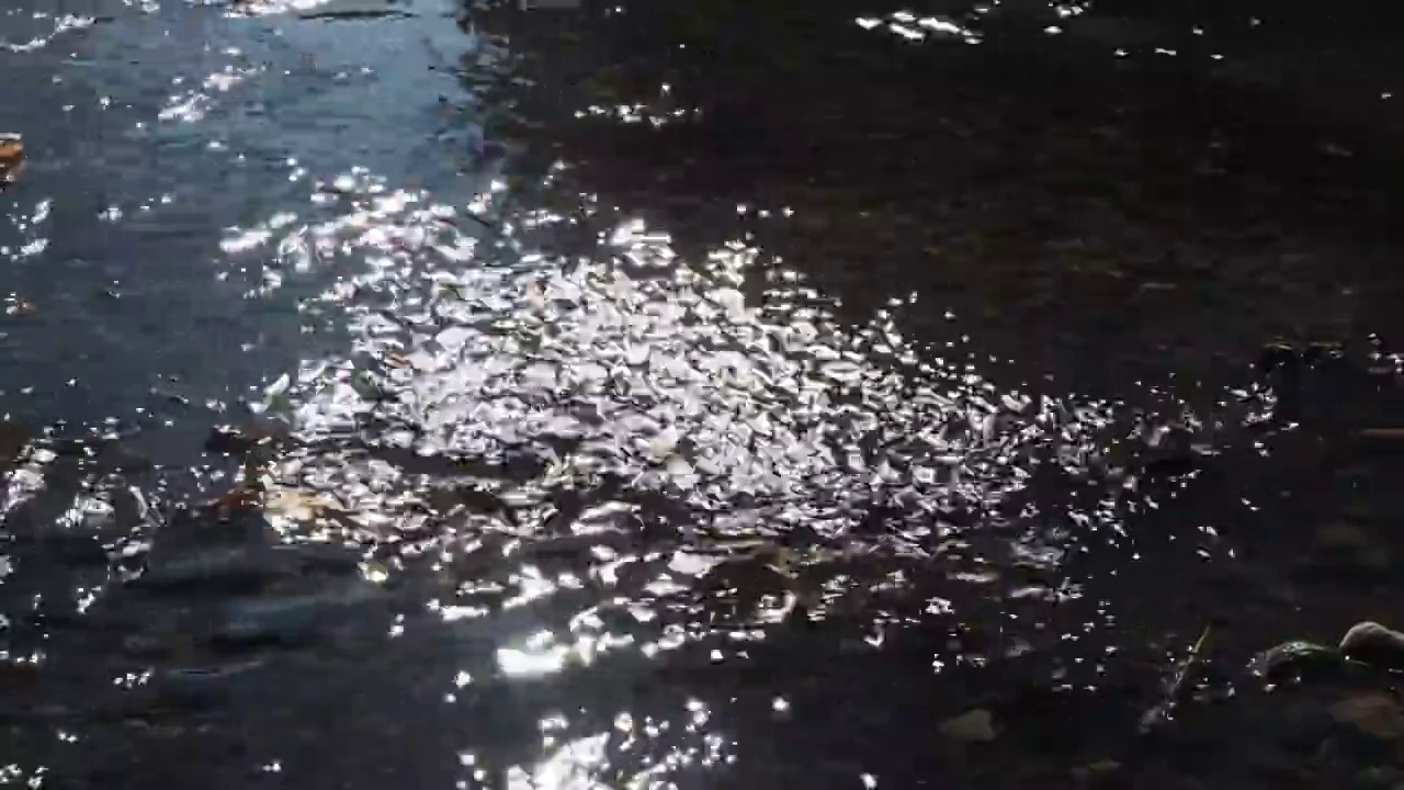 阳光反射在河面上视频下载
