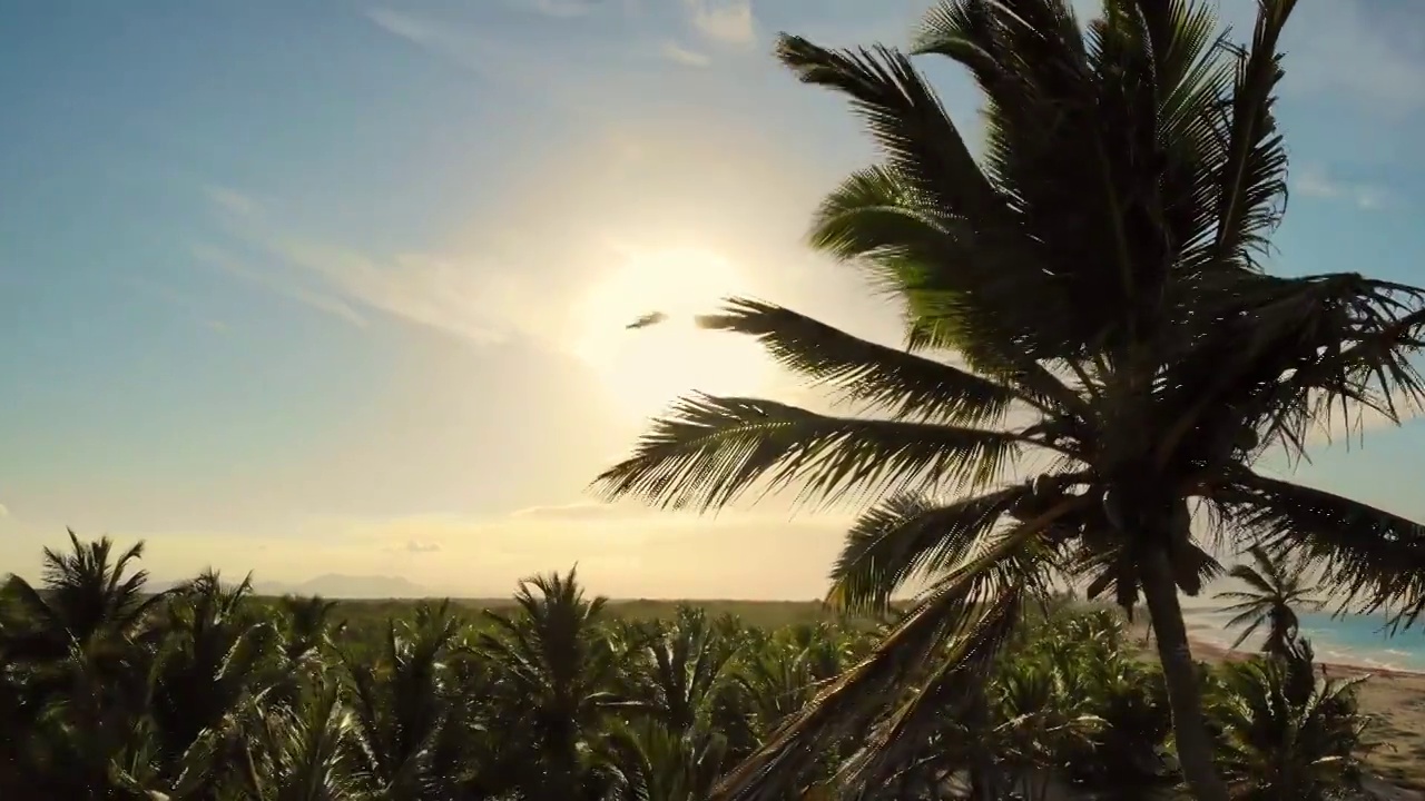热带岛屿上的海滩。海滩附近海岸上的棕榈树视频素材