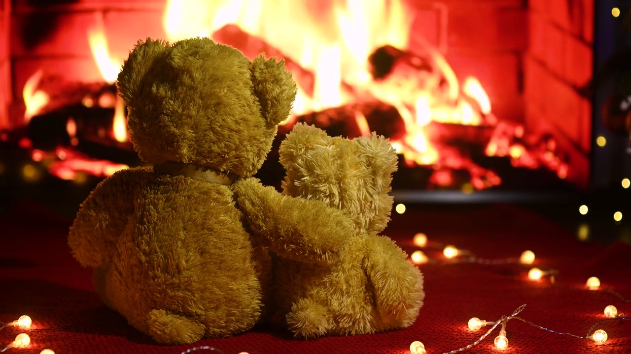 两只可爱的泰迪熊互相拥抱，坐在编织的红色格子布上，背景是一串灯泡和燃烧的壁炉视频下载